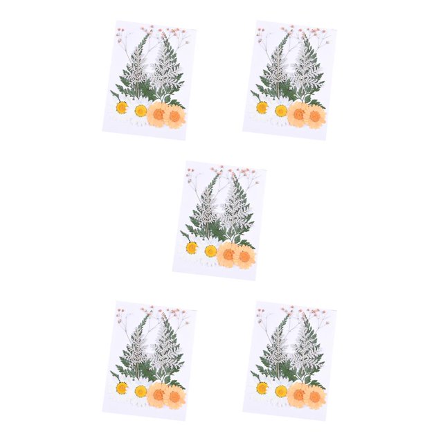 Flores secas prensadas Inteprter kit de juego de flores de naranja 5Conjunto