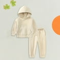 thumbnail image 2 of Coerni Toddler Winter Outfit Cotton Warm Long Sleeve Hoodie With Pockets Solid Color Sports Sweatshirt Set for Boys Girls, 2 of 9