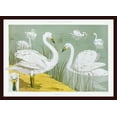 thumbnail image 1 of Beautiful Scenery PrintÂ­ 12X18 Inches Under Glass With Wooden Frame 40X30 Cm, 1 of 1