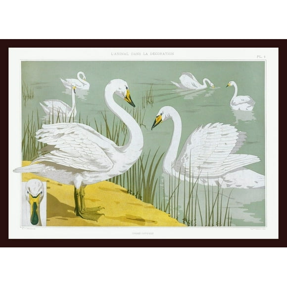 Beautiful Scenery Print 12X18 Inches Under Glass With Wooden Frame 40X30 Cm