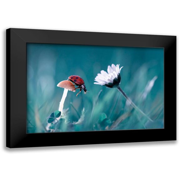 Bravin, Fabien 14x11 Black Modern Framed Museum Art Print Titled - The story of the lady bug that tries to convice the mushroom to have a date with the beautiful daisy