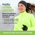 thumbnail image 2 of Solaray Astragalus Root 400mg | Adaptogen Herb | Non-GMO, Vegan & Lab Verified | 180 VegCaps, 2 of 7