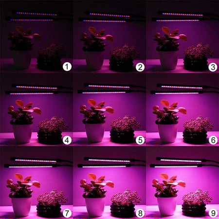 LED Plant Light Plant Grow Light for Indoor Plants ...
