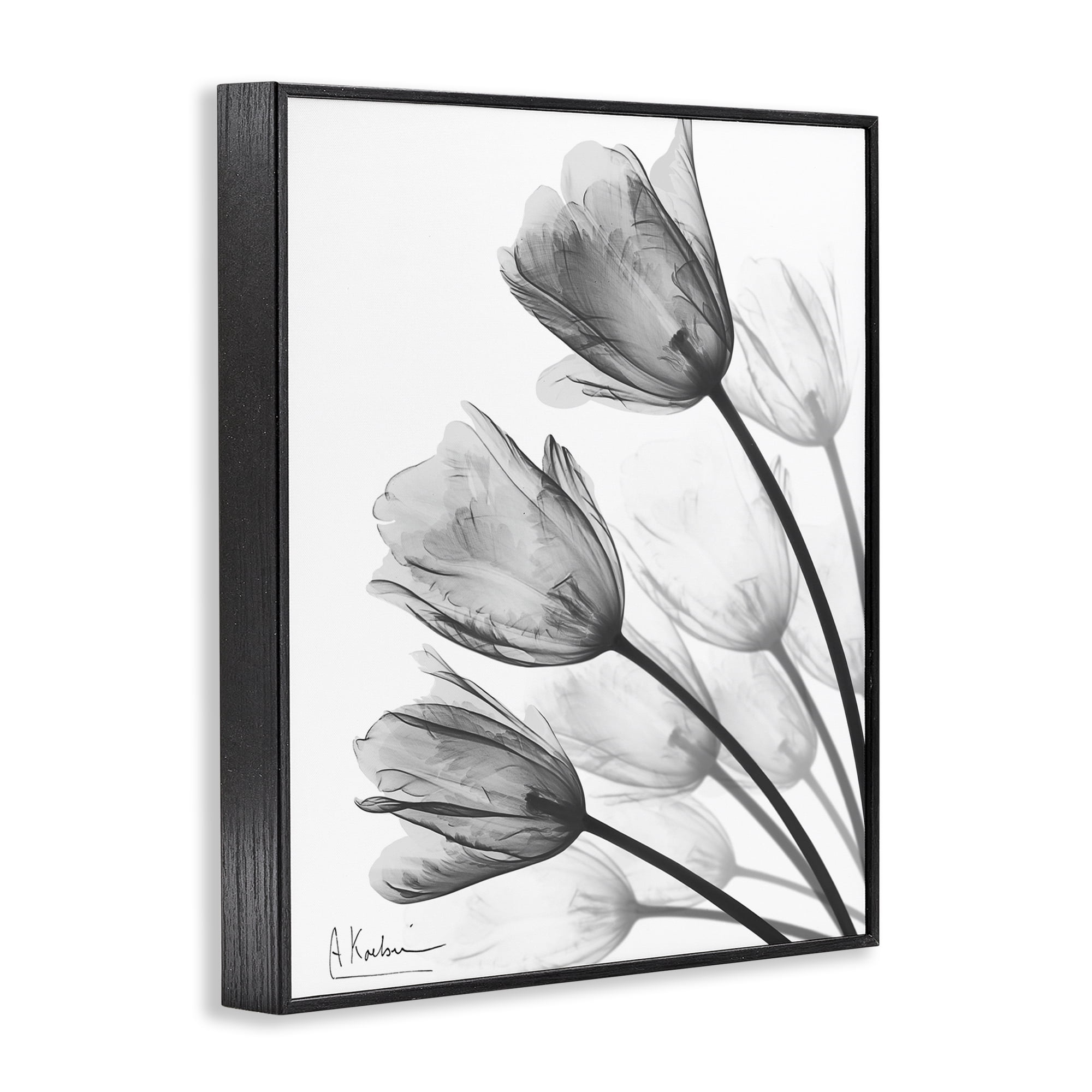 Stupell Industries Minimalist Tulip Fan Black Framed Giclee Art, design by Albert Koetsier