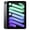 Space Gray, variant on Pre-Owned Apple iPad Mini 6th Generation 256 GB Unlocked Purple (Good)