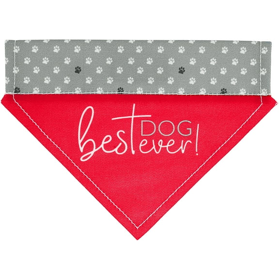 Pavilion Gift Company - Best Dog Ever - 7" x 5" Canvas Slip on Pet Bandana