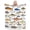 50*40 inch, variant on Fish Flannel Fleece Throw Blanket for Adult 50x40