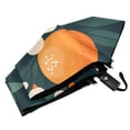 thumbnail image 6 of FORMRS Travel Umbrella Folding Auto Open Close Windproof Rain UV Protection, Green Floral Oranges, 6 of 8