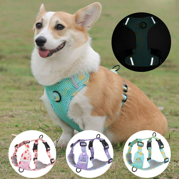 Spencer Adjustable Mesh Pet Dog Harness , No-Pull Pet Harness Reflective No Choke Pet Vest Harness for Small Medium Large Dogs (Purple, S)