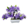 thumbnail image 3 of Bonsái artificial Planta artificial Decoración Escritorio Oficina Dormitorio Pequeño Falso Violeta, 3 of 9
