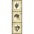 thumbnail image 2 of Vision Studio 12x32 White Modern Wood Framed Museum Art Print Titled - Mini Rustic Shell Panel II, 2 of 4