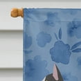thumbnail image 3 of Carolines Treasures CK4815CHF Bicolour Aegean Cat Welcome Flag Canvas House Size Large multicolor, 3 of 4