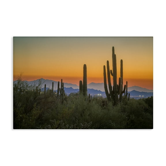 Stupell Industries Looming Cacti Sunset Landscape & Nature Photography Wrapped Canvas Art Print Wall Art, 24 x 16