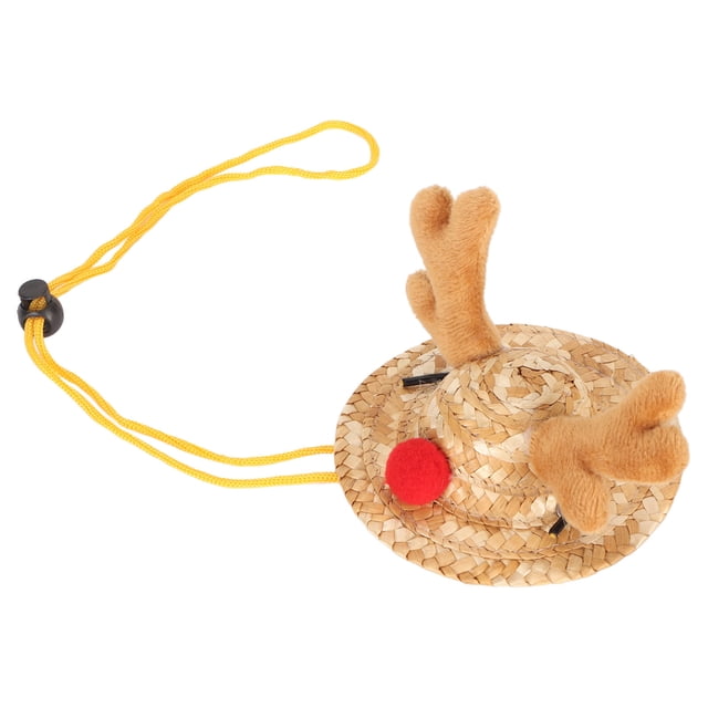 Sombrero Tejido de Paja para Pájaros Correa de Hebilla Ajustable Sombrero de Paja para Mascotas Pequeñas Ropa para la Cabeza de Fiesta para Periquitos Dragones Barbudos ANGGREK Otros