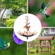 thumbnail image 5 of Bandeja Comedero Para Pájaros Con Forma De Paraguas Bandeja Comedero Para Pájaros Colgante Baño Para Pájaros Para Exteriores Comedero Para Colibríes Con Forma De Paraguas Para Baño De Pájaros Jardín, 5 of 6