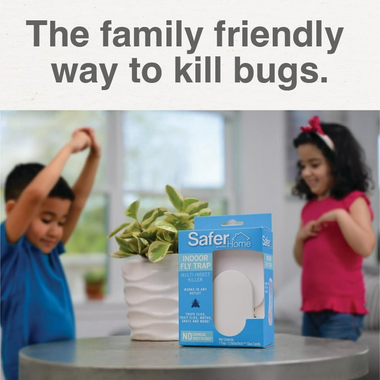 Safer Home Indoor Flying Insect Trap for Fruit Flies, Gnats, Moths, House  Flies (2 Plug-In Bases, 4 Refill Glue Cards)