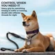 thumbnail image 5 of Correa Para Perro Grande Resistente Fuerte, 5 of 8