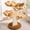 Brown, variant on HITTITE Flower Cat Tree with Scratching Post, 48 Inches Cute Cat Tower with Wooden Branch Design, Aesthetic Modern Cat Climbing Tower with Flower Perches and Hanging Toy for Indoor Cats Large Adult.