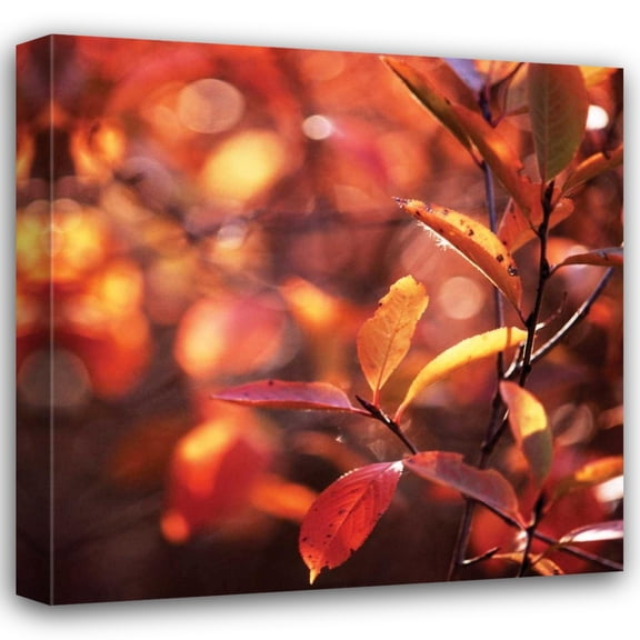 Bob Stefko 15x15 Gallery Wrapped Canvas Wall Art Titled - Simple Organics I