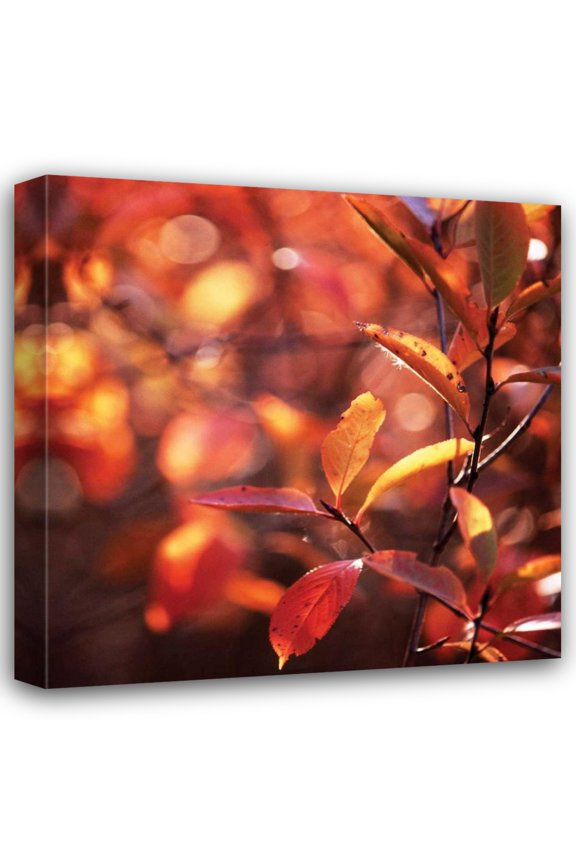 Bob Stefko 15x15 Gallery Wrapped Canvas Wall Art Titled - Simple Organics I