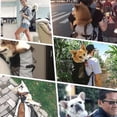 thumbnail image 4 of Pet Backpack Breathable Pet Dog Carrier Bag For Large Dogs Bulldog Backpack Adjustable Travel BagsM, 4 of 5