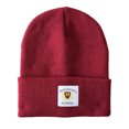 thumbnail image 1 of Harry Potter Hogwarts Alumni Patch Beanie, 1 of 2