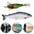 thumbnail image 4 of Señuelo Pesca Calamar Juego Señuelos Plantilla Luminosa Cebos Artificiales Sepia (05), 4 of 9