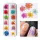 thumbnail image 1 of caja de flores secas mixtas para decoración de uñas, pegatina Floral Natura Labymos  GH-F, 1 of 7