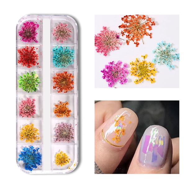 caja de flores secas mixtas para decoración de uñas, pegatina Floral Natura Labymos GH-F