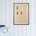 thumbnail image 6 of Raindrops 1Pack Rectangular Wood Medal Frame for Displaying and Storing Medals 11.8X12.4X1.2In, 6 of 8