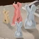 thumbnail image 4 of 2 uds moldes para velas de conejito molde portátil de conejo molde para jabón de cera moldes para velas de animales, 4 of 6