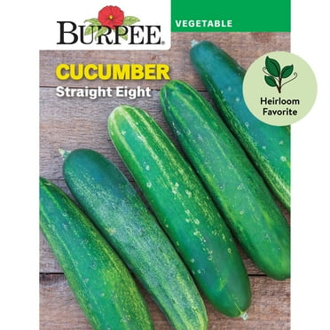 Burpee Straight Eight Heirloom Cucumber Seed, 1-Pack
