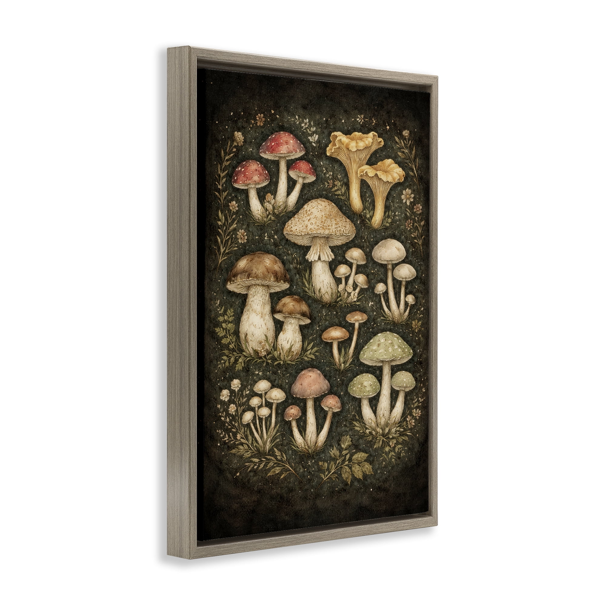 Stupell Industries Organic Sprouting Mushrooms Brown Framed Floater Canvas Wall Art, design by Tom Crehan
