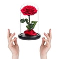 thumbnail image 3 of Roses Rouges Fleur Préservée Vraie Rose sous Cloche en Verre, Roses Préservées Jamais Flétries Cadeaux Romantiques pour Elle, Saint-Valentin, Fête des Mères, Anniversaire, Fête d'Anniversaire, Mariage et Noël Grande, 3 of 5