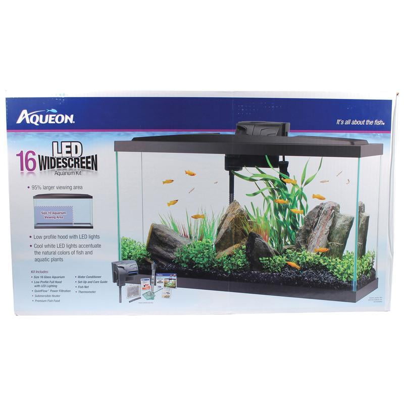 16 gallon aquarium