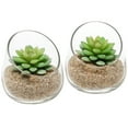thumbnail image 5 of MyGift Clear Glass Succulent Plant Vases , Decorative Modern Storage Jars, Set of 2, 5 of 6