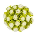 thumbnail image 3 of Painted Marshmallow Roses 100 Stems of 50 cm White & Lime Green Farm Direct Fresh Cut Flowers by Bloomingmore, 3 of 7