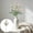 Beige, variant on AURIGATE 22.83in Artificial Rose Stems 3 Heads, Faux Plastic Rose Flowers for Wedding Bouquets Home Table Centerpiece Decor