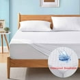 Bed Cover Mattress Protector Mattress Pad Waterproof Fitted Sheet