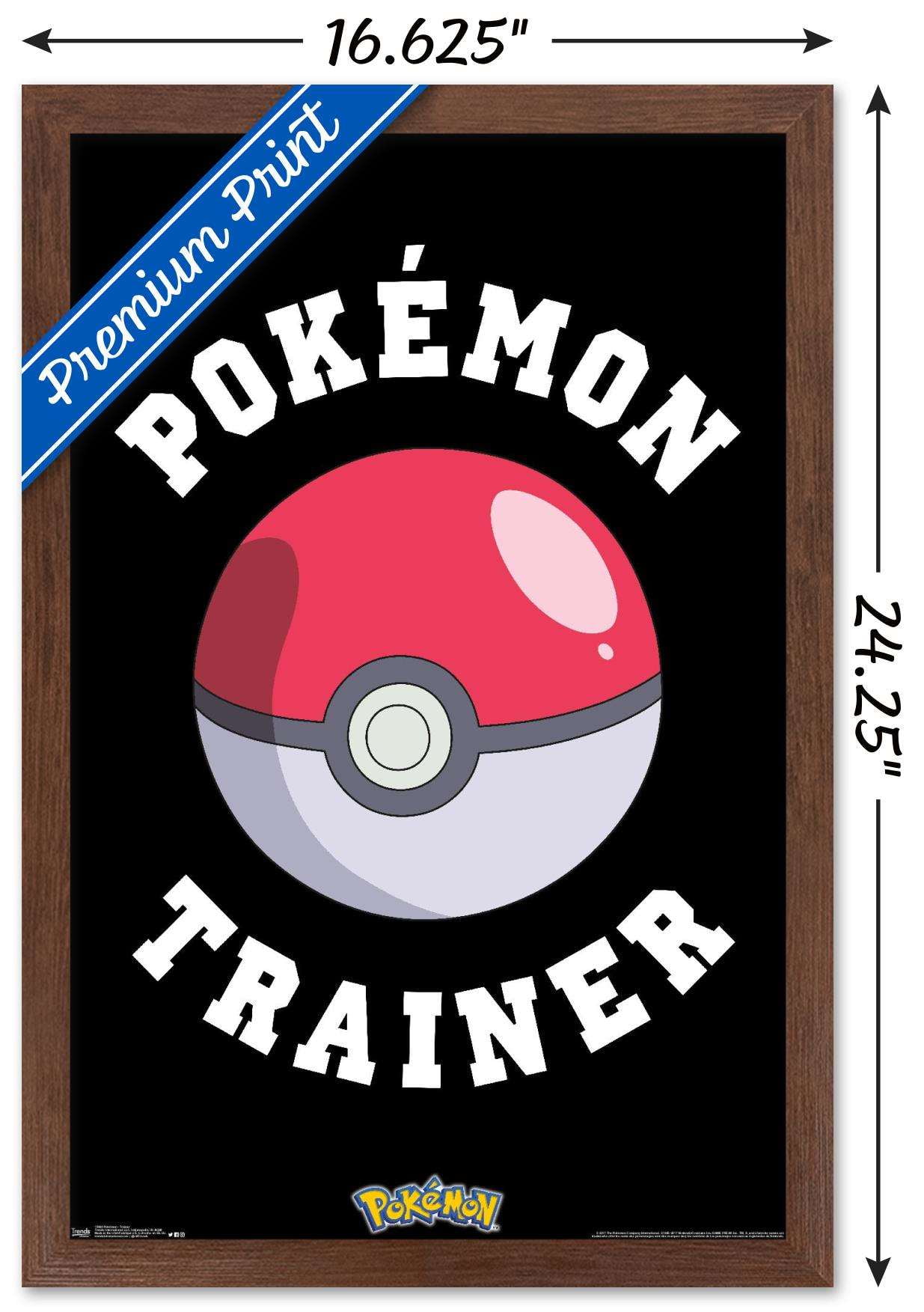 Pokemon - Trainer Wall Poster, 14.725" x 22.375", Framed