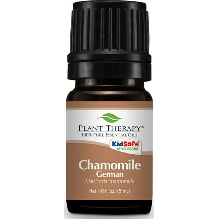 Plant Therapy Chamomile German Organic Essential Oil 5 mL (1/6 oz) 100% Pure, Undiluted, Therapeutic
