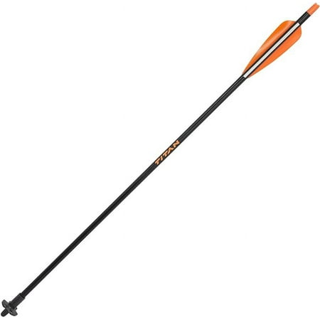 Allen Nexus Crossbow Bolt (Pack of 3)