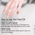thumbnail image 6 of Tea Tree Essential Oil 100% Pure - 16 fl oz - Aluminum Bottle - GreenHealth, 6 of 9