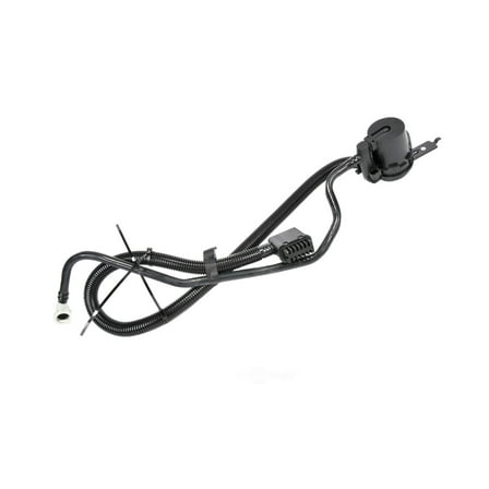 Vapor Canister Vent Valve