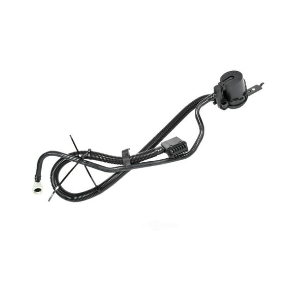 Vapor Canister Vent Valve