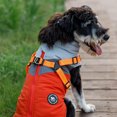 thumbnail image 4 of Lucoss Winter Dog Coat with integrated harness No Pull Cold Weather Waterproof Warm Fleece Back Zipper for Small & Medium Dog, 4 of 5