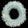 thumbnail image 2 of 30" White Iridescent Wreath WA 70WW, 2 of 2