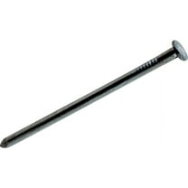 Do it 5 Lb. Bright Common Nail