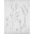 thumbnail image 3 of Lettered and Lined 19x24 Black Modern Framed Museum Art Print Titled - Retreat Botanical 14, 3 of 5