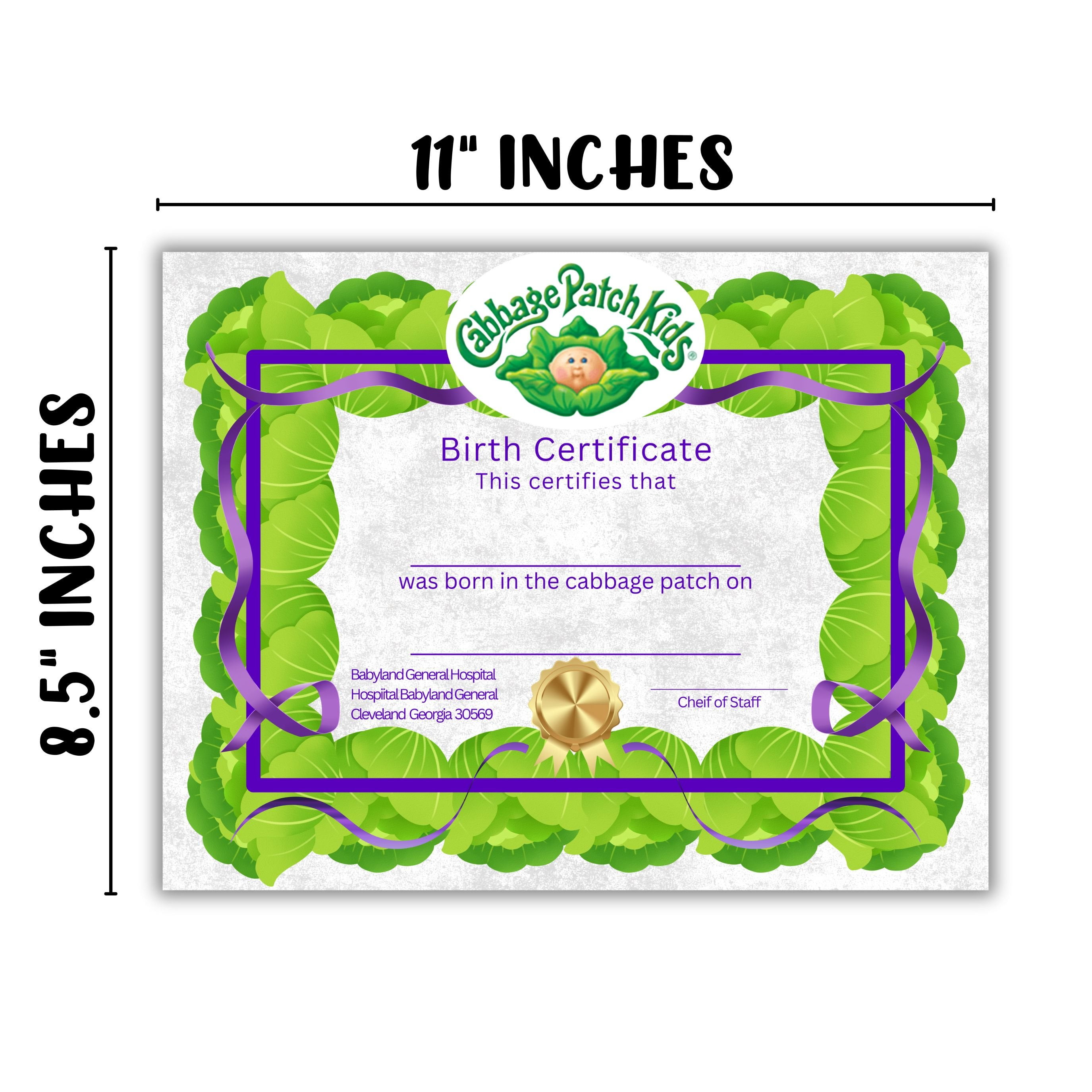 cabbage doll baby adoption certificate patch 30pk 8.5x11 paper